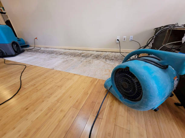Reliable Flood Damage Restoration contractor in Sanford, MI by Hirex Water Damage