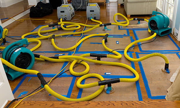 Professional Flood Damage Restoration technician working in Sanford, MI